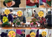 ♥︎원예치료 프로그램♥︎